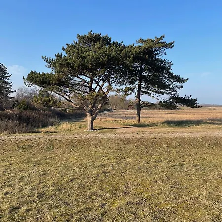 Idyllisk Tæt På Vand Og